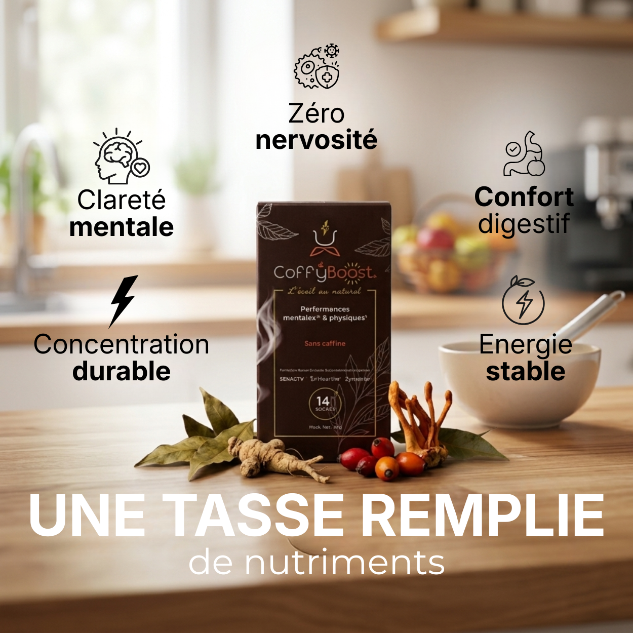 CoffyBoost French Vitality entouré de ses ingrédients naturels, notoginseng et feuilles de manguier : énergie stable, concentration et zéro nervosité